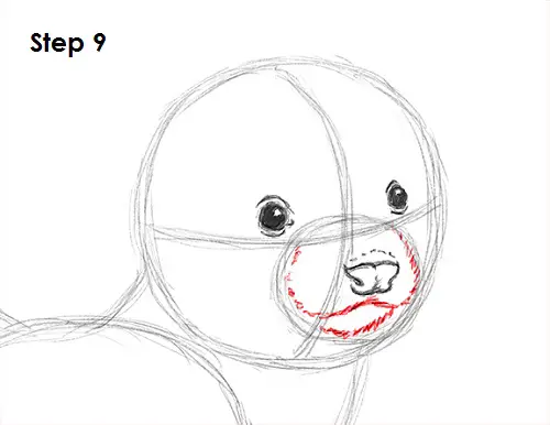 Ferret Drawing 9 Draw Ferret 9