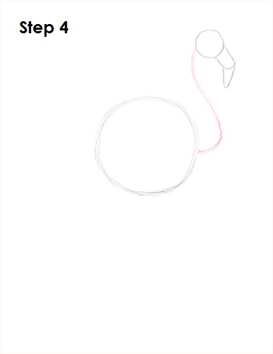 Flamingo Bird Drawing 4 Draw Flamingo Bird 4