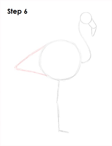 Flamingo Bird Drawing 6 Draw Flamingo Bird 6