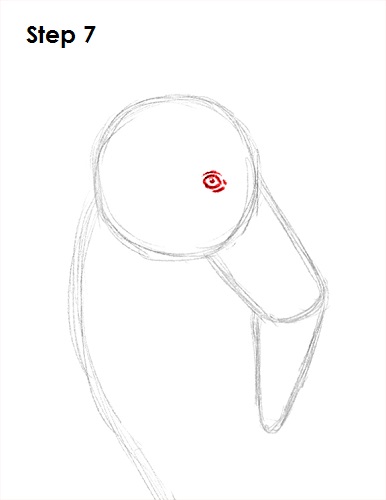 Flamingo Bird Drawing 7 Draw Flamingo Bird 7