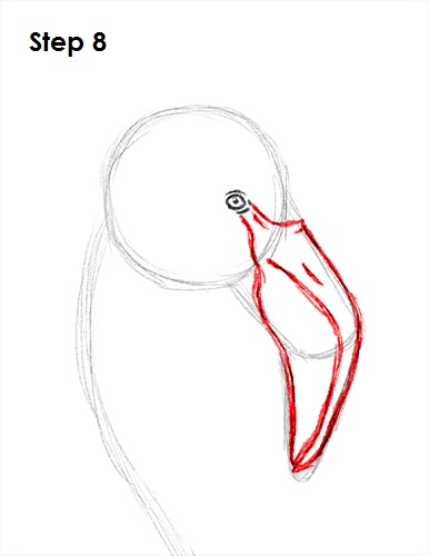 Flamingo Bird Drawing 8 Draw Flamingo Bird 8