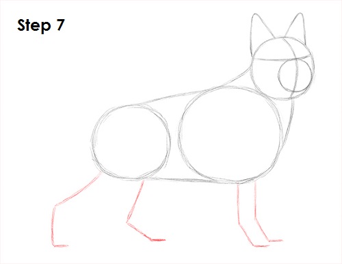 German Shepherd Drawing 7 Draw German Shepherd Dog 7