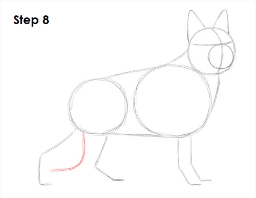 German Shepherd Drawing 8 Draw German Shepherd Dog 8