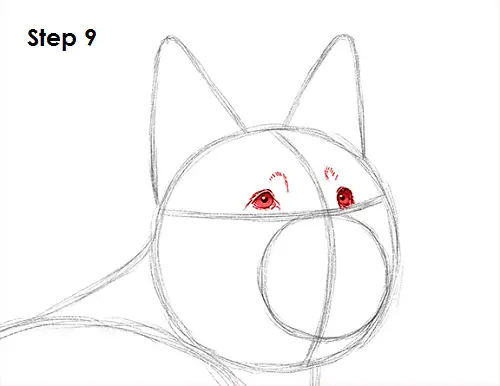 German Shepherd Drawing 9 Draw German Shepherd Dog 9