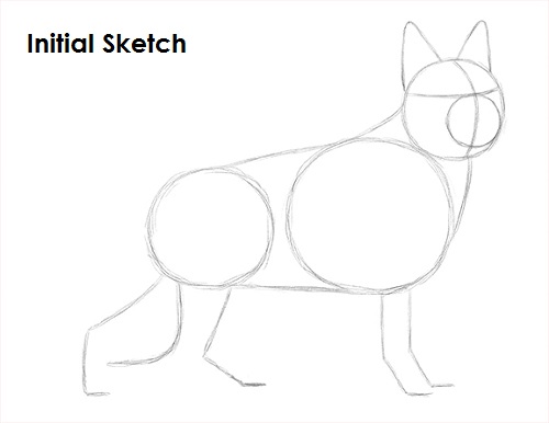 German Shepherd Drawing Sketch Draw German Shepherd Dog Sketch