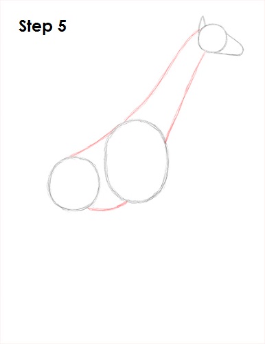Giraffe Drawing 5 Draw Giraffe 5