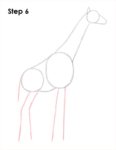 Giraffe Drawing 6 Draw Giraffe 6