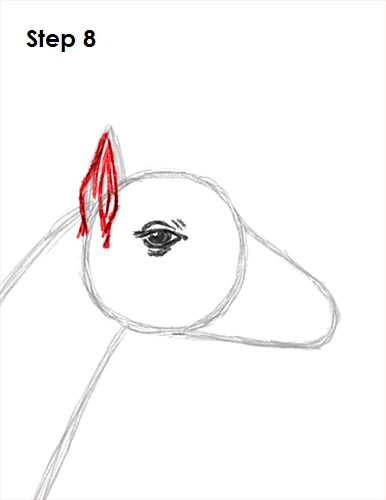Giraffe Drawing 8 Draw Giraffe 8