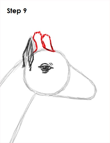 Giraffe Drawing 9 Draw Giraffe 9