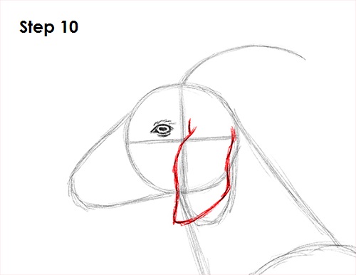 Goat Drawing 10 Draw Goat 10