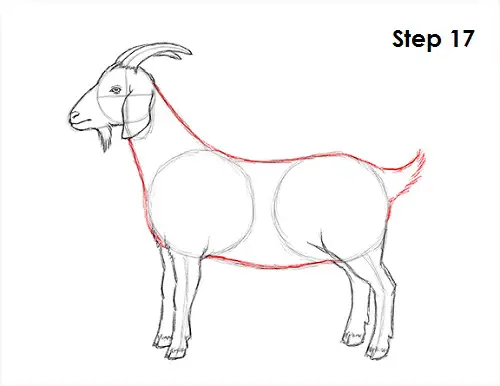 how to draw new year goat how to draw a goat how to draw new year goat how to draw a goat