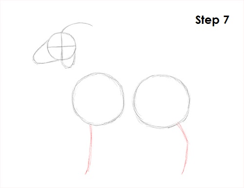 Goat Drawing 7 Draw Goat 7