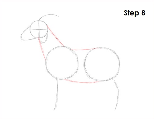 Goat Drawing 8 Draw Goat 8