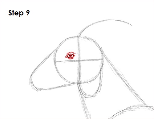 Goat Drawing 9 Draw Goat 9