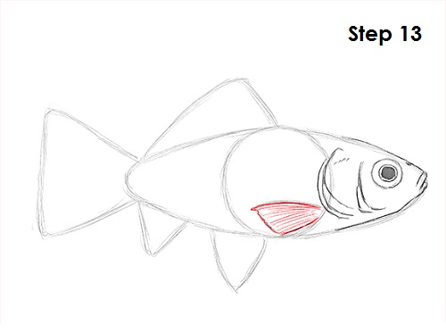 Goldfish 13 Draw Goldfish 13