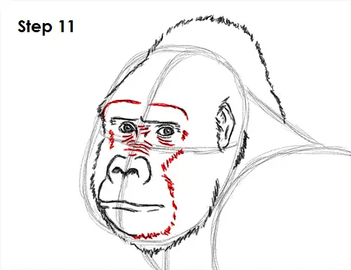 realistic angry gorilla drawing realistic angry gorilla drawing