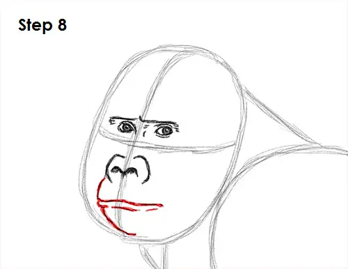Gorilla Drawing 8 Draw Gorilla 8
