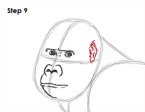 Gorilla Drawing 9 Draw Gorilla 9
