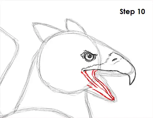 Griffin Drawing 10 Draw Griffin 10