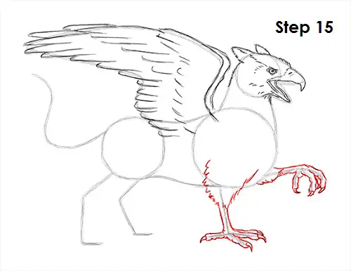 Griffin Drawing 1 Draw Griffin 15
