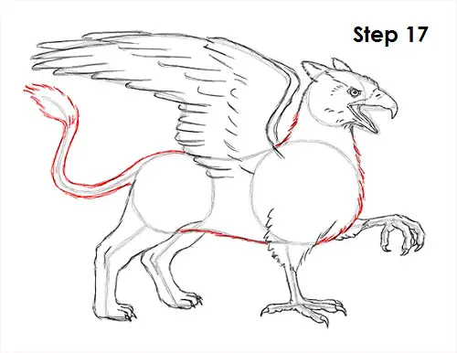 Griffin Drawing 17 Draw Griffin 17