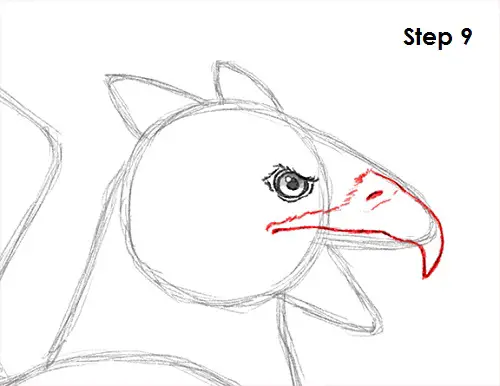 Griffin Drawing 9 Draw Griffin 9