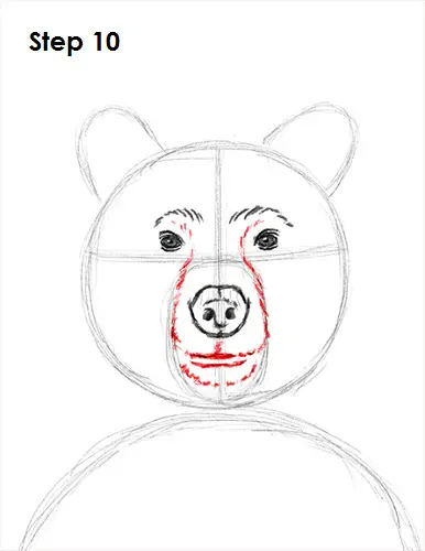 Grizzly Bear Drawing 10 Draw Grizzly Bear 10