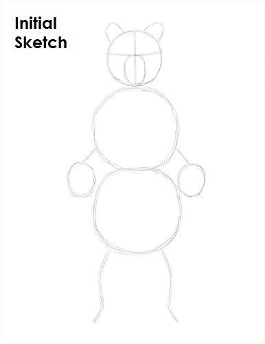Grizzly Bear Drawing Sketch Draw Grizzly Bear Sketch