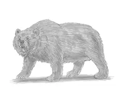 home how2drawanimals