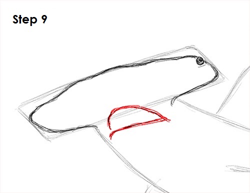 Hammerhead Shark Drawing 9 Draw Hammerhead Shark 9