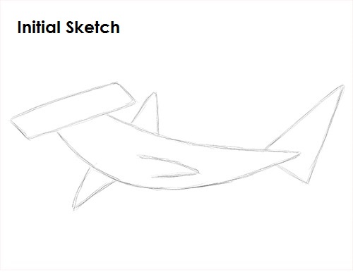 Hammerhead Shark Drawing Sketch Draw Hammerhead Shark Sketch