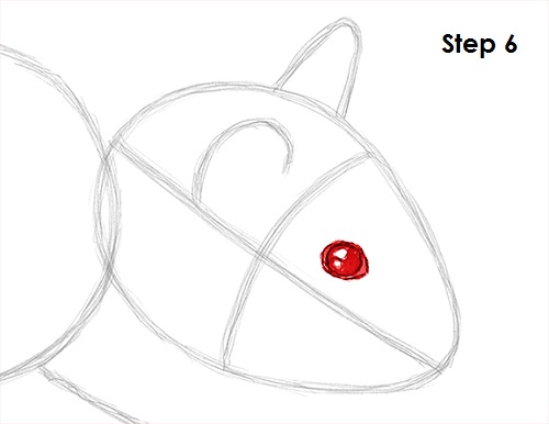 Hamster Drawing 6 Draw Hamster 6