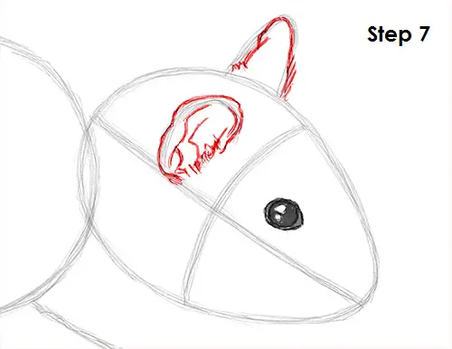 Hamster Drawing 7 Draw Hamster 7