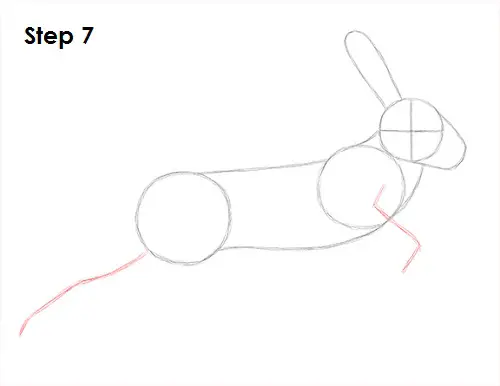 Hare Jackrabbit Drawing 7 Draw Hare Jackrabbit 7