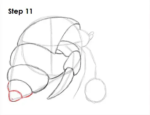 Hermit Crab 11 Draw Hermit Crab 11