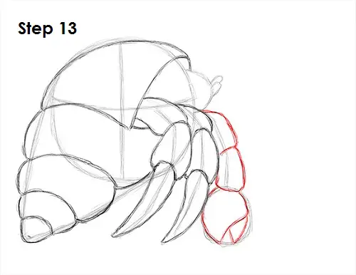 Hermit Crab 13 Draw Hermit Crab 13