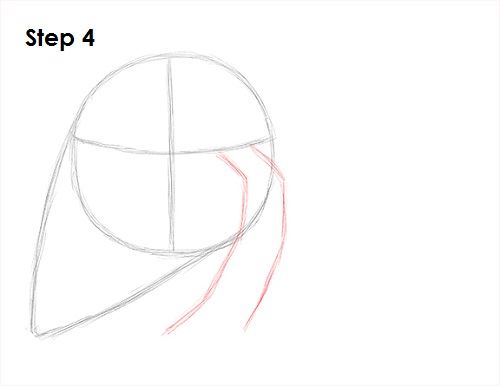 Hermit Crab 4 Draw Hermit Crab 4