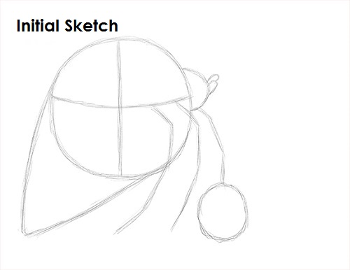 Hermit Crab Sketch Draw Hermit Crab Sketch