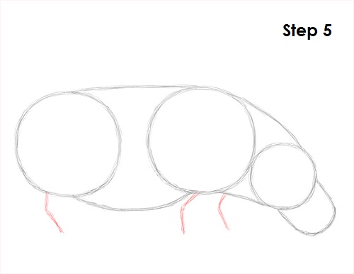 Hippopotamus Drawing 5 Draw Hippopotamus 5