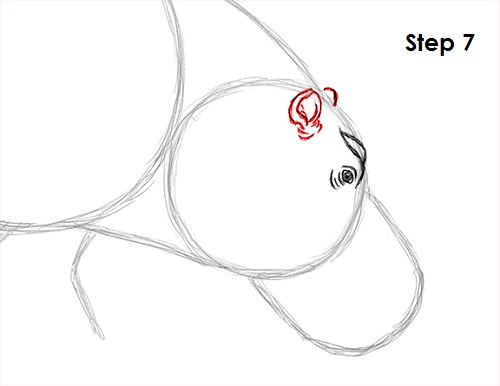Hippopotamus Drawing 7 Draw Hippopotamus 7