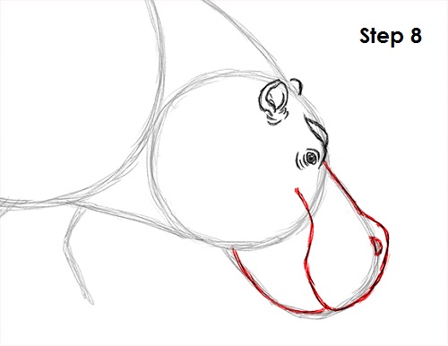 Hippopotamus Drawing 8 Draw Hippopotamus 8