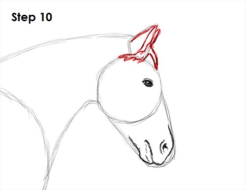 How to draw a horse jumping How to draw a horse jumping