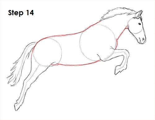 how to draw a horse jumping horse body outline