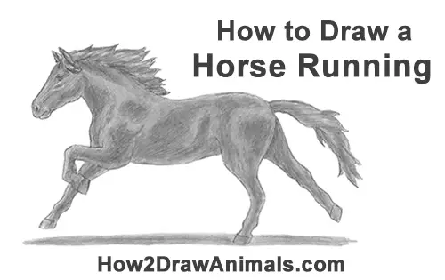how to draw a horse running
