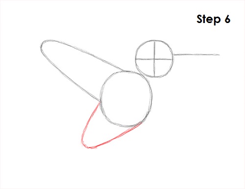 how to draw hummingbirds step 8 male models picture how to draw hummingbirds step 8 male models picture