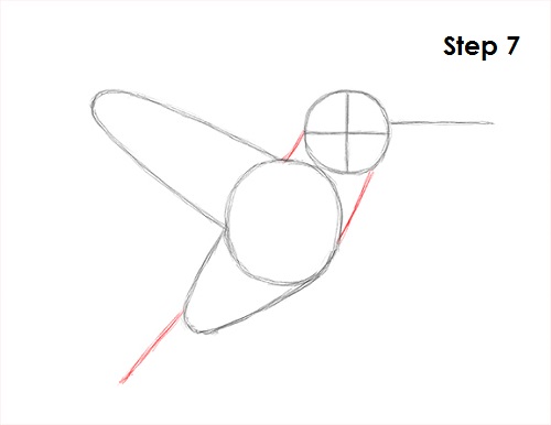 Hummingbird Drawing 7 Draw Hummingbird 7