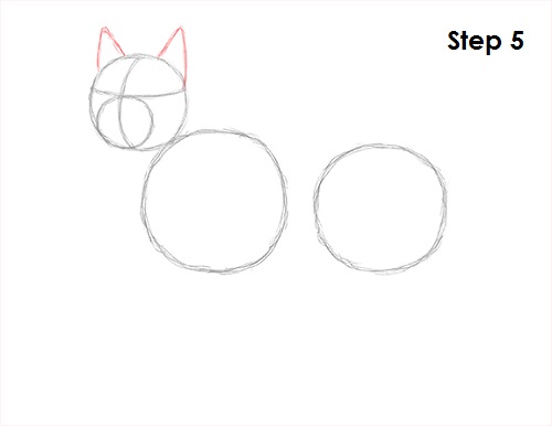 Husky Drawing 5 Draw Husky 5