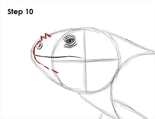 Iguana Drawing 10 Draw Iguana 10