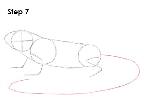 Iguana Drawing 7 Draw Iguana 7
