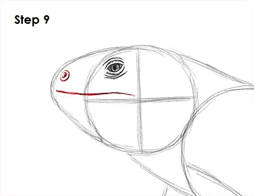 Iguana Drawing 9 Draw Iguana 9